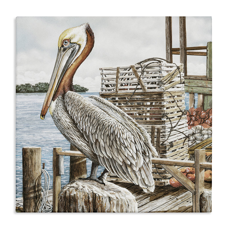 Art mural sur toile Pelican, H 30 po x l 30 po x P 1,5 po