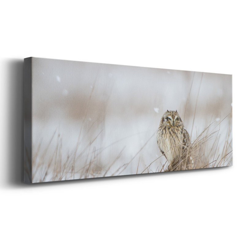 Prairie d'hiver sur toile tendue, H 24 po x l 60 po x P 1,5 po