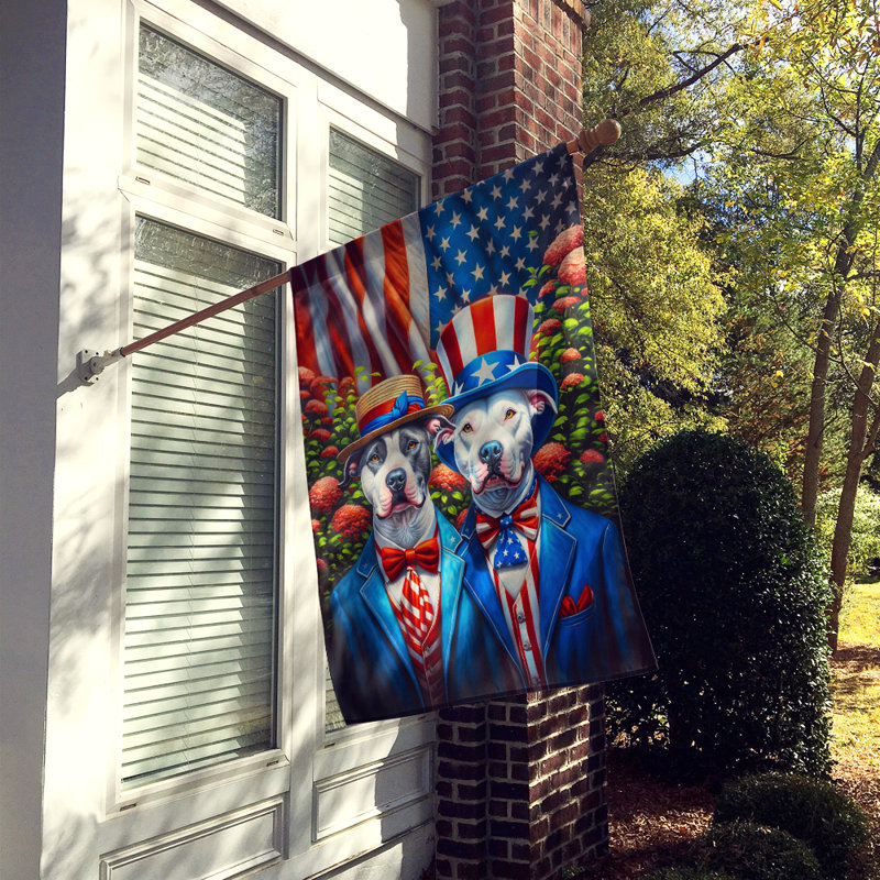 Drapeau «All American House», Pitbull-terrier