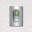 «Mixed Greens Succulent II» par Lisa Audit-419878565