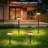 Solar Pathway Lights Outdoor, Solar Lights Outdoor Waterproof Ip65, Bright Solar Garden Lights Outdoor, Auto On/off Outdoor Solar Lights For Yard Walkway Driveway Landscape Garden Decor