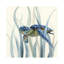 Turtle In Seagrass II by Nan - Wrapped Canvas Print-34181793