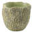 Berube Pot Planter-1843215837