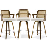 26.77" Upholstered Cane Back Counter & Bar Stool With Armrest