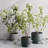 Recycled Pot Planter-92615923-92615919