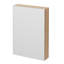 17'' W Mirrored Medicine Cabinet-1757814678