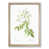 Oak Framed selected