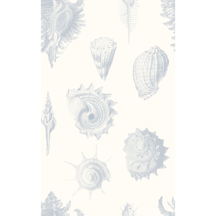 Shell Fossils 33' L x 20.5" W  Wallpaper Roll