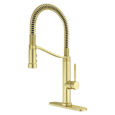 Pull Down Single Handle Kitchen Faucet