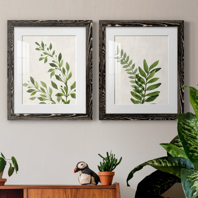 Botanical Wash I - reproduction d'art sur papier