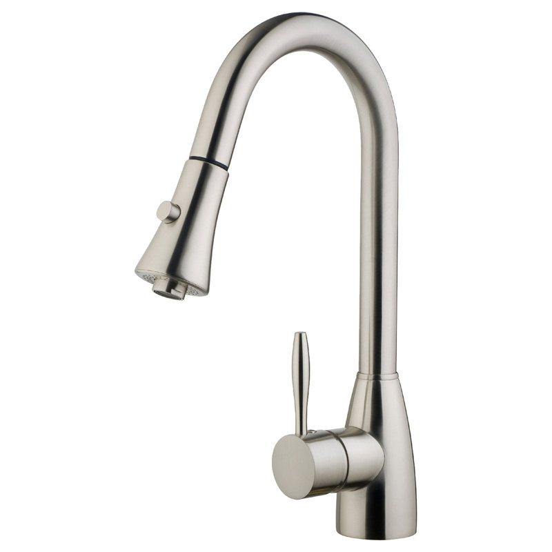 LessCare Pull Out Kitchen Faucet