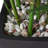 Millsaps 18'' Faux Bamboo Plant in Decorative Pot-995214644