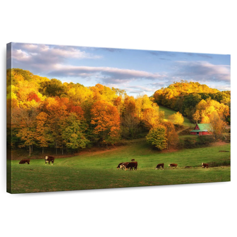 Alvord North Carolina Farm Cow, H 16 po x l 24 po