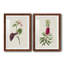 Pretty Pink Botanicals VI - Ensemble de 2 reproductions de cadres photo-1481787739-1481787815