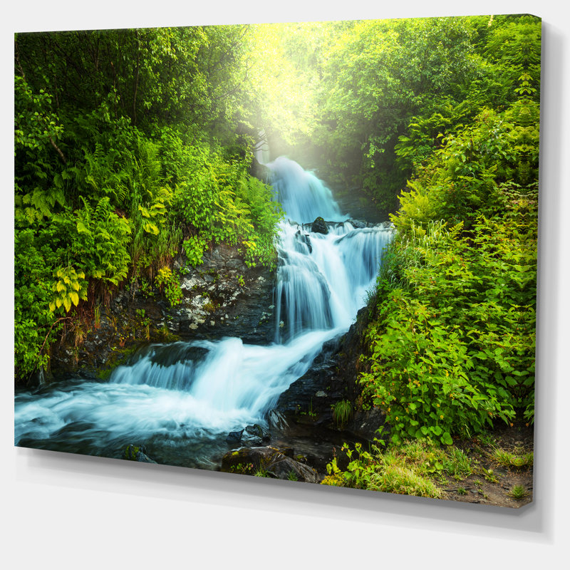 Green Rain Forest Landscape Canvas Art with Blue Creek