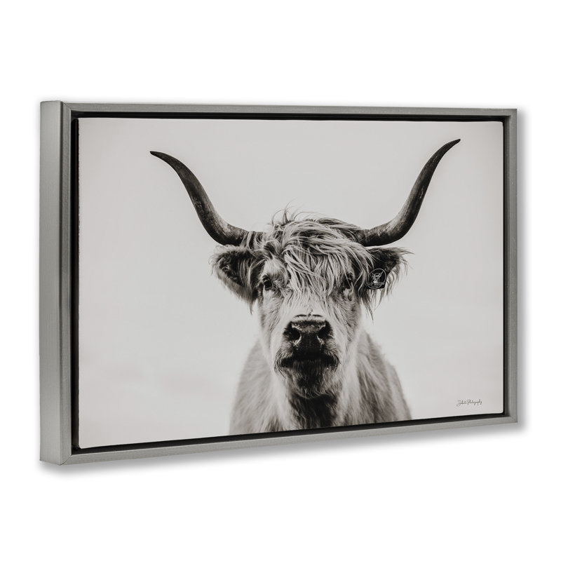 Calm bovins, toile par Dakota Diener, Cadre flottant gris lustré, H 17 po x l 25 po x P 1,7 po