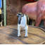 Statue de bébé vache Holstein