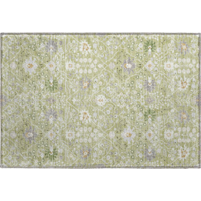 Premium Machine Washable Colmenero AMF1009 Oriental Rug