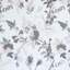Naomi Garden Fabric