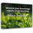 Trinx Gallery Wrapped Canvas By Reid A. Ashbaucher: "Wisdom plus knowledge equals understandi