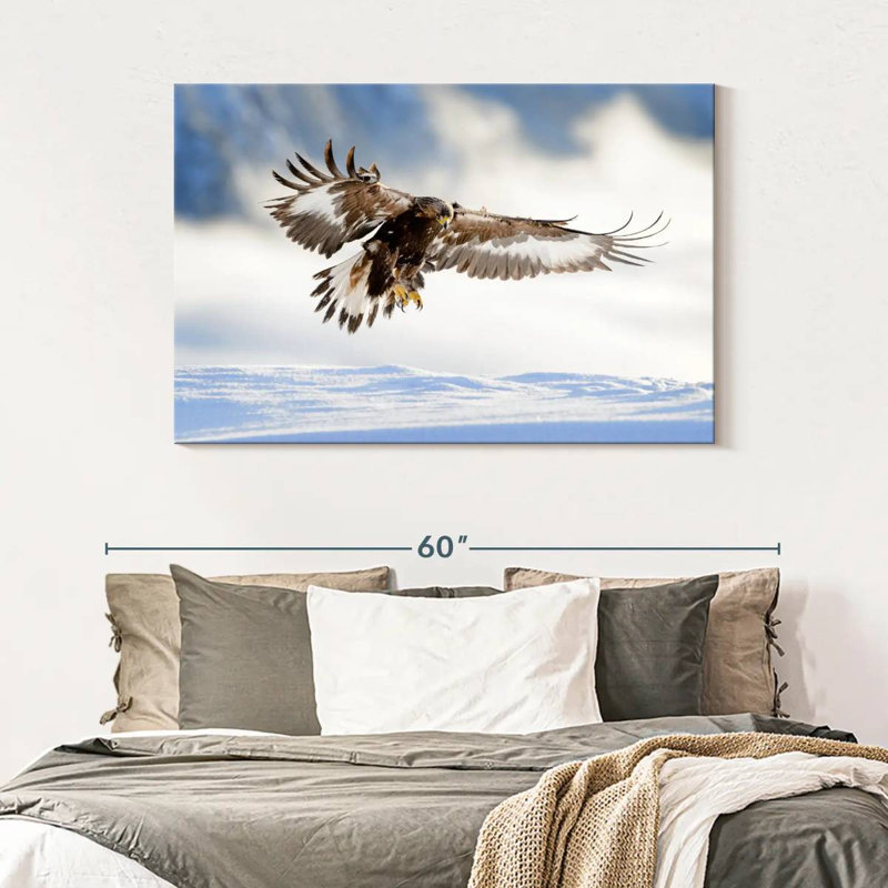 Brampt Norwegian Golden Eagle, 32" H x 48" W