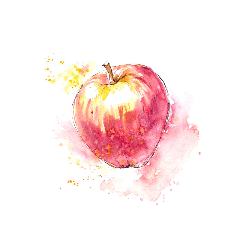 Hartzog Red Apple by Bokasin - Wrapped Canvas Painting, 30cm H x 30cm W x 3.8cm D