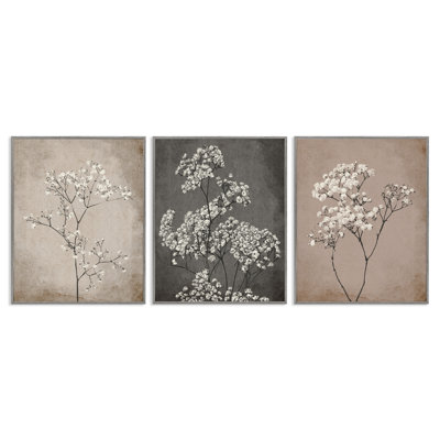 " Botanical Baby's Breath Herbs " 3 Piece Art Graphic Art Print