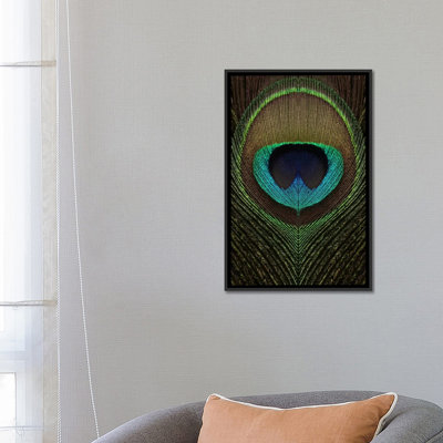 " Peacock Feather Symmetry III " by Alyson Fennell