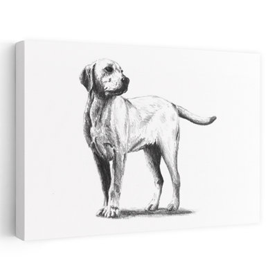Attentif croquis de chien, reproduction d'art mural contemporain