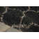 Linton Performance Indoor Rug