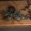 Anastasija Arrangement