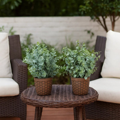 Ensemble de 2 plantes d'eucalyptus en soie artificielle Azzy, feuilles vertes, pot brun