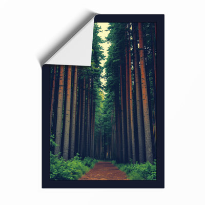 Path Through The Pines Scandinavian - Print