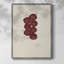 Impression florale vintage encadrée XLVI - bois massif-1380375882