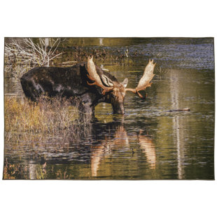 Tapis Moose
