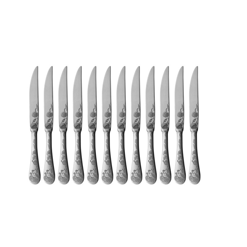Venere Stainless Steel Steak Knife, Ice