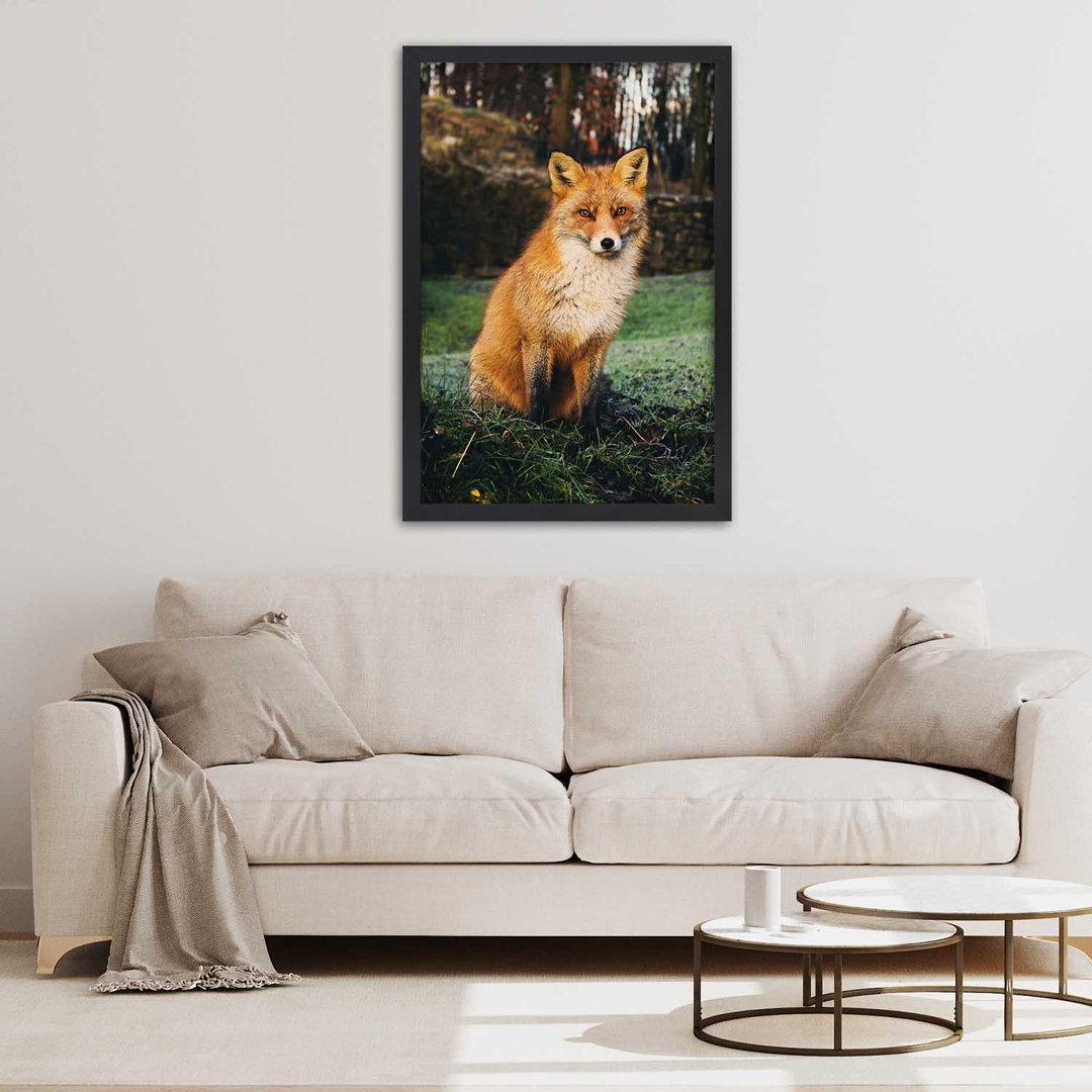 Gerahmtes Poster Fox im Wald