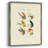 Bass Flies I Framed Print - Solid Wood