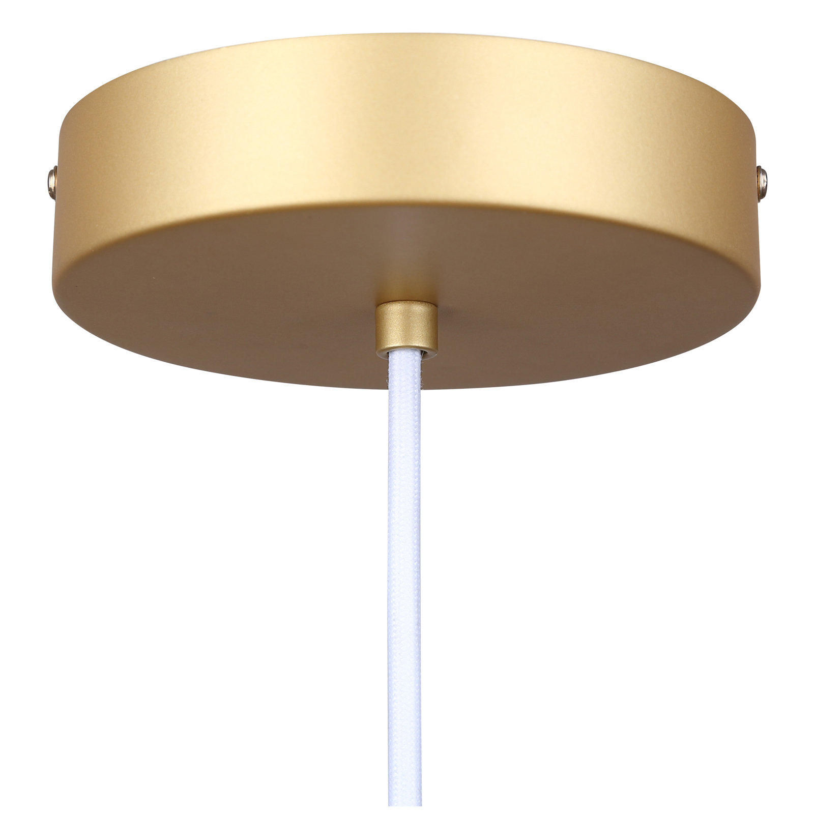 Brac Single Light Metal Dimmable LED Pendant, Gold