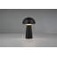 Allorah 21.5Cm Table Lamp with USB-1007538805