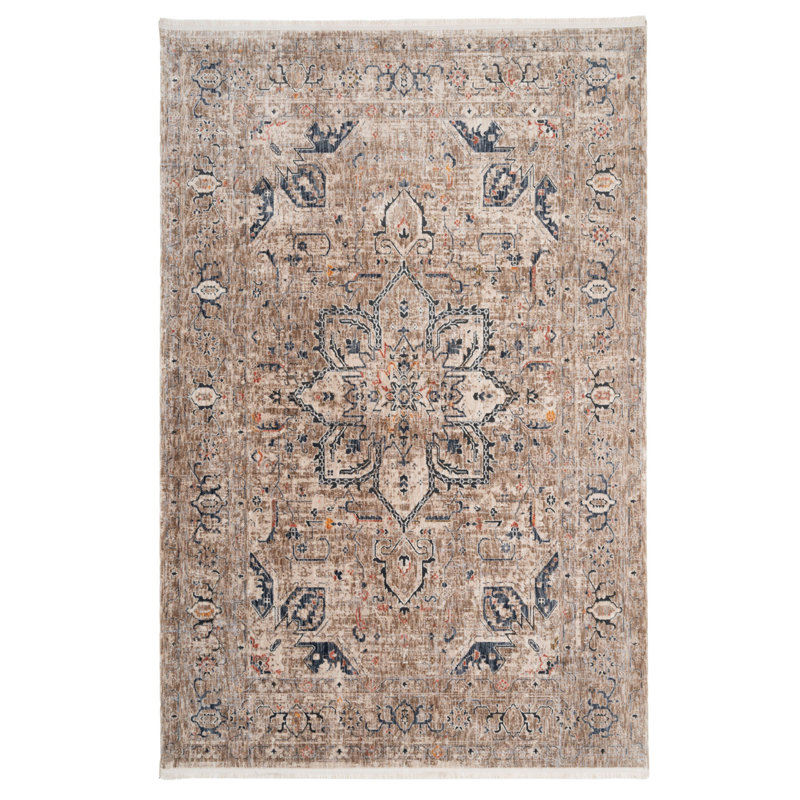 Caicey Oriental Area Rug, Rectangle 120 x 170cm