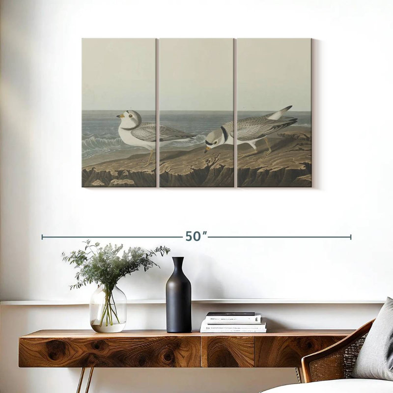 Brampt Piping Plover, 24" H x 38" W