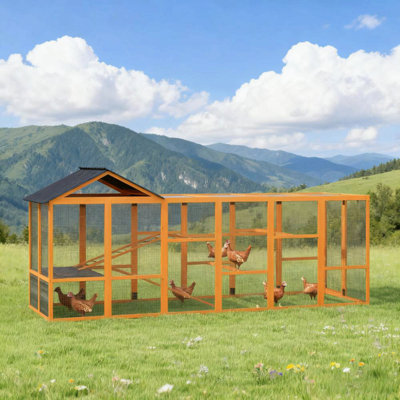 Poulailler en bois pour 6 à 10 poules