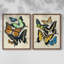 «Collage Butterflies I-Premium», reproduction encadrée prête à accrocher - aucun clou requis - aucun clou requis-171790336-171790339