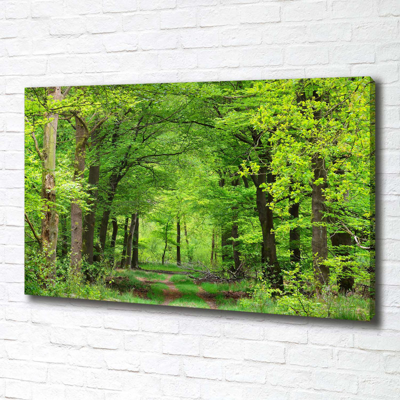 Spring Forest - Wrapped Canvas Print