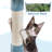 Crediton 61'' H Cat Tree