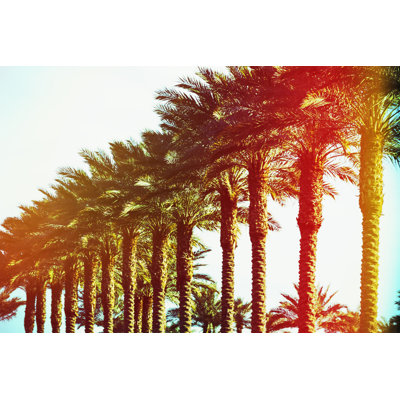 Palms - Wrapped Canvas Print