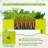 Seppi Metal Raised Garden Bed-204553009