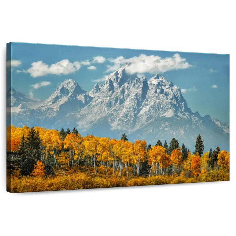 Golden Aspens d'Alvord Grand Teton, H 20 po x l 30 po