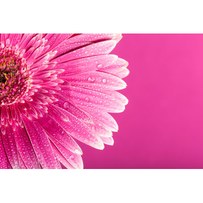 Lauryne Gerbera Daisy by Artisteer - Wrapped Canvas Print